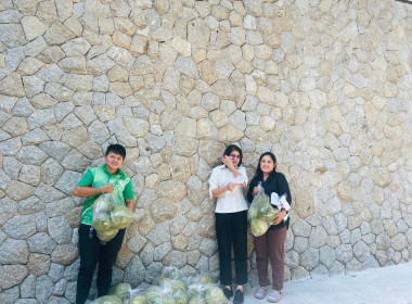 รับมอบส้มโอพันธุ์ขาวใหญ่ จากสหกรณ์การเกษตรบางคนที จำกัด ... พารามิเตอร์รูปภาพ 6